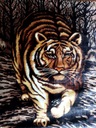 Elway deka 160x210 cm TIGER - AKRYL Hrubá a hrejivá