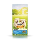 Purina Friskies Junior 15kg