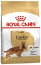 ROYAL CANIN Kokeršpaniel dospelý 12kg