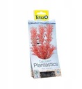 TETRA DecoArt Plant L Foxtail Red 30 cm