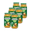 BoboVita Junior Zelenina s teľacím SET 6x250g