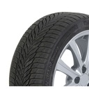 2x NEXEN 245/45R18 100V Winguard Sport 2 XL zimné