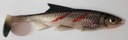 Guma Shirasu Clone Shad Bloody Minnow 15 cm-Balzer