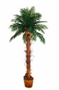 UMELÁ PALM 3M UMELÉ STROMY KVETY PALM