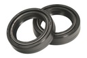 HD XL53 883C Sportster Custom Lag Seals