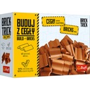 Strešné škridle Trefl Brick Trick bricks 61036