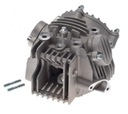 KOMPLETNÝ HEAD PITBIKE MRF MOTOR YX160