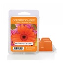 Vosk s vôňou Sunshine & Daisies Country Candle