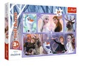 MAXI puzzle 24 dielikov. Svet plný mágie, Frozen 3+