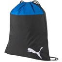 Puma teamGOAL 23 Gym BAG