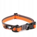 Obojok pre psa TRUELOVE DOGTREKKING Orange L