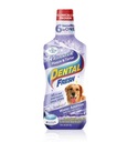 Dental Fresh Stone and Sediment 237 ml