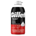 PENA NA HOLENIE GILLETTE FOAMY REGULAR 311G USA