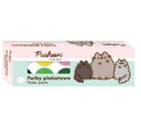 PLAKÁTOVÉ FARBY 12 FARIEB 20ML PUSHEEN MAJEWSKI PAINTS