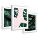 SET Zarámované obrazy plagáty monstera listy pozadie triptych 43x99