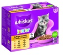 Whiskas JUNIOR hydinové príchute v želé 12x85g