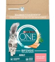 Purina ONE ADULT losos celozrnné 800g krmivo pre mačky