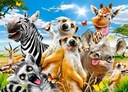 CASTORLAND Puzzle 260 dielikov Africké selfie -