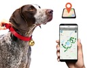 Aplikácia GPS LOCATOR DOG CAT MK15P