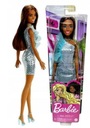 Bábika Barbie BRUNETTE HJR95 Mattel Fashionistas - Všetci milujeme Barbie!!