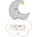 Welcome Baby Moon 42