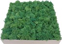 Odrezky machu Forest Green, 6kg lepenka