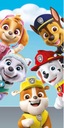 PAW PATROL 70x140 Veľká osuška Skye