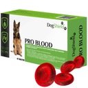 DogShield Pro Blood na anémiu a slabosť 45 tabliet.