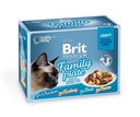 Rodinný tanier na filé z omáčky Brit Cat Pouch (12 x 85 g)