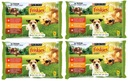 Purina Friskies Vitafit Adult v omáčke 16x100g