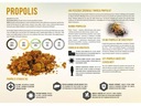 VEĽKÁ XL vzdelávacia tabuľa PROPOLIS F252