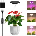 LED LAMPA NA PESTOVANIE RASTLÍN LED LAMPA NA PESTOVANIE RASTLÍN ČIERNA USB 220 V