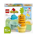 LEGO DUPLO 10981 PESTOVANIE MRKVY 11 BLOKOV