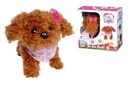 CHI CHI LOVE POLISH PUPPY DOG 16 CM