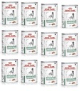 Royal Canin Diabetic Canine Canine 12 x 410 g