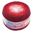 Opus Natura Wool Cake priadza 50022 ombre vlna