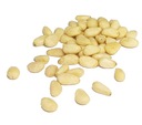 CEDAR PINE NUTS 500g EXTRA PREMIUM