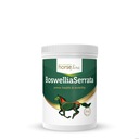 HorseLine Boswellia 900g boswellia pokušenie pre kone