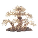 PROGROW BONSAI STROM BT2M 30X15X23CM