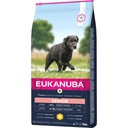 EUKANUBA SENIOR VEĽKÉ PLEMENNÉ GRANTOVÉ KURAČE 15KG