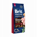 BRIT PREMIUM BY NATURE SENIOR L/XL 15KG