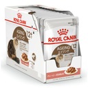 Royal Canin starnutie +12 v omáčke Cat Food 12x85G