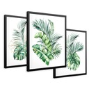 SET Zarámované obrazy plagáty listy monstera palmový zlatý triptych 43x99