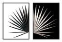 OBRAZOVÉ PLAGÁTY V RÁME 33x43cm Diptych Leaf P974