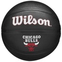 Malý basketbalový basketbal Wilson WZ4017602XB ročník 3