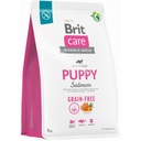 Brit Care Dog Bezobilný šteňa lososový zemiak 3kg