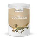 HorseLinePRO Kolagén Kolagén typu II 800g