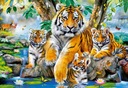 PUZZLE 1000 dielikov. CASTORLAND Tigers C-104413-2