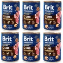 BRIT PREMIUM BY NATURE 6 x 400 G ZMES CHUTÍ