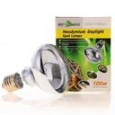 Repti-Zoo Neodymium Daylight 100W - neodymová výhrevná žiarovka